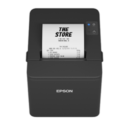 Impresora Epson TM-TIV-SP-022 C31CL47022