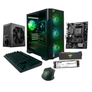 CPU GAMING NSX PGR5VAS4W-04 AMD RYZEN 5-5600GT